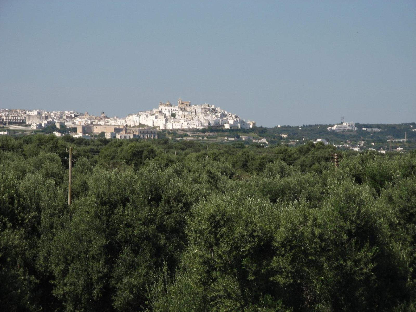 Masseria Asciano Ostuni Dış mekan fotoğraf