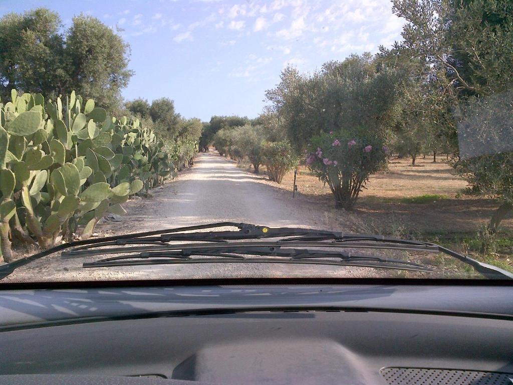 Masseria Asciano Ostuni Oda fotoğraf