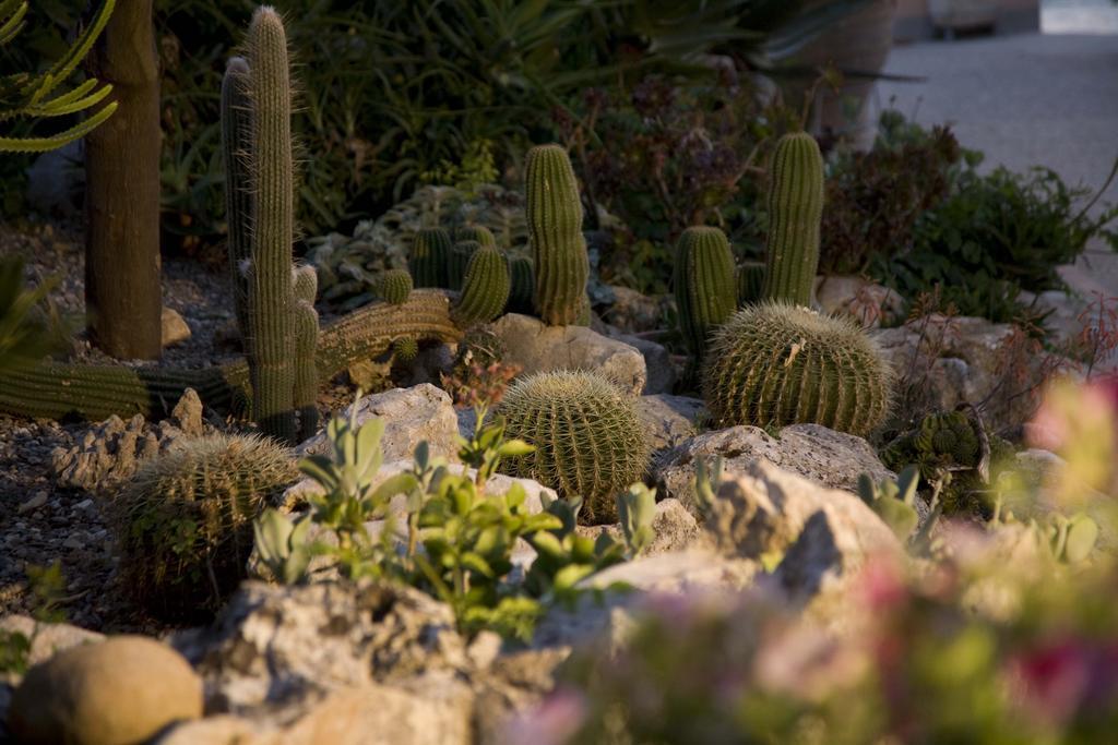 Masseria Asciano Ostuni Dış mekan fotoğraf